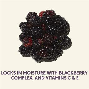 img 3 attached to 🍇 Aveeno Absolutely Ageless Anti-Wrinkle Facial Moisturizer SPF 30, Enriched with Antioxidant-Rich Blackberry Complex, Non-Comedogenic & Oil-Free, 1.7 fl. oz