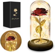eternity rose in glass dome - beauty and the beast rose kit with led light string for women, wedding, valentine's day, mother's day, anniversary, birthday, and mom gifts logo