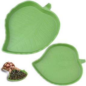 img 4 attached to 🥦 Convenient 2 Pack Leaf Reptile Food and Water Bowl for Pet Aquarium Ornament Terrarium Dish Plate - Ideal for Lizards, Tortoises, and Small Reptiles