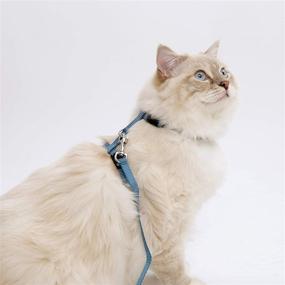 img 2 attached to Catit Small Black Nylon Adjustable Cat Harness & Leash Set: Premium Quality