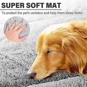 img 2 attached to 🐾 Comfy Reversible Dog Bed Mat with Plush and Wick Strip - Warm & Cool, Perfect for Medium Small Dogs and Cats-Grey