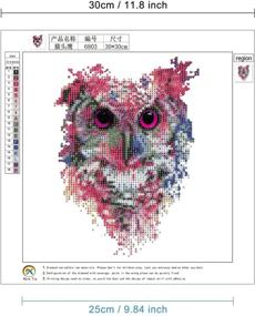 img 3 attached to 🦉 Stunning 5D Diamond Painting Kit: DIY Crystal Rhinestone Owl Art Craft for Home Décor - MXJSUA