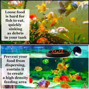 img 1 attached to 🐟 SunGrow 3-Inch Betta Feeding Ring: Practical Round Floating Food for Guppies, Goldfish, and Other Small Fish - Reducing Waste, Maintaining Water Quality, Suitable for Flakes and Floating Fish Foods