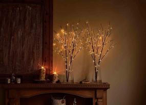 img 3 attached to 🌳 32-Inch Hairui Lighted Artificial Twig Brown Tree Branch with Fairy Lights, 100 LED Battery Operated Willow Branch for Christmas Wedding Party Decoration - Set of 2 (Vase Not Included)