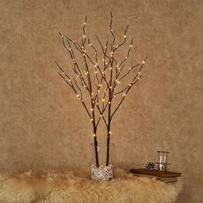 img 1 attached to 🌳 32-Inch Hairui Lighted Artificial Twig Brown Tree Branch with Fairy Lights, 100 LED Battery Operated Willow Branch for Christmas Wedding Party Decoration - Set of 2 (Vase Not Included)