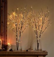 🌳 32-inch hairui lighted artificial twig brown tree branch with fairy lights, 100 led battery operated willow branch for christmas wedding party decoration - set of 2 (vase not included) логотип