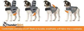 img 1 attached to Куртка от тревоги ThunderShirt Classic Heather для собак