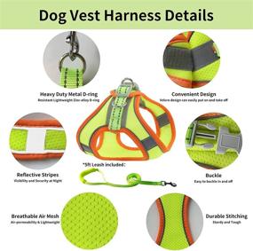 img 1 attached to 🐾 JOYPAWS Breathable Step-in Dog Harness and Leash Set - All Weather Air Mesh, Reflective Bands, Escape Proof, No Pull Pet Supplies, Step-in Vest Harness for Small and Medium Dogs