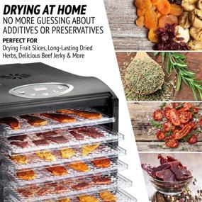 img 3 attached to 🍽️ Ivation 9 Tray Countertop Digital Food Dehydrator: Efficient 600w Drying Machine with Preset Temperature Settings, Timer, and Even Heat Circulation - Perfect for Beef Jerky, Fruits, Vegetables & Nuts!