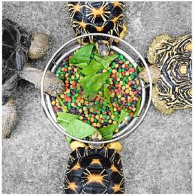 img 2 attached to 🐢 Wontee Stainless Steel Tortoise Food and Water Dish Feeder Bowl - Ideal for Lizard, Turtle, Chameleon, and Reptiles