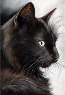 black cat 5d diamond painting kit - round drill embroidery cross stitch arts craft decor - 11.8x15.7in - bemaystar logo