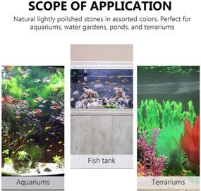 img 1 attached to 🐠 POPETPOP 100g Aquarium Gravel River Rock: Polished Decorative Pebbles for Aquariums, Landscaping, Vase Fillers