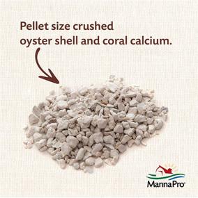 img 2 attached to 🐔 Manna Pro Crushed Oyster Shell 5 LB for Egg-Laying Hens