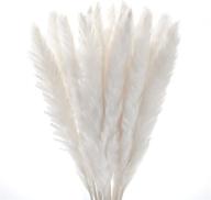 🌾 30 pcs real touch natural plumes momkids pampas dried reed grass bouquet, 17 inch tall, for farmhouse office bedroom rustic christmas decor - phragmites communis (white) logo