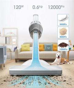 img 3 attached to 🐾 Convenient & Portable Handheld Vacuum - Cordless and Rechargeable for Pet Hair, Floors (Wet/Dry) - Small, Lightweight Design in White