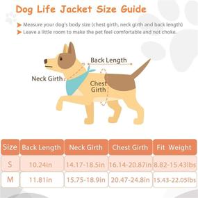 img 3 attached to 🐶 Small Dog Life Jackets – Adjustable Pet Floatation Vests with Rescue Handle for Swimming, Boating, and Kayaking – 2 Pack