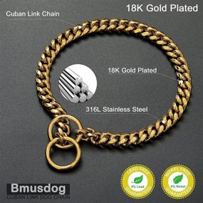 img 2 attached to 🐶 BMusdog Gold Dog Chain Collar: Premium 10MM Choke Collar for Small, Medium & Large Dogs (10 to 24in) - Stainless Steel Slip Choker Chain for Training & Control