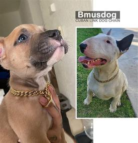 img 3 attached to 🐶 BMusdog Gold Dog Chain Collar: Premium 10MM Choke Collar for Small, Medium & Large Dogs (10 to 24in) - Stainless Steel Slip Choker Chain for Training & Control