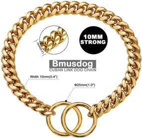 img 1 attached to 🐶 BMusdog Gold Dog Chain Collar: Premium 10MM Choke Collar for Small, Medium & Large Dogs (10 to 24in) - Stainless Steel Slip Choker Chain for Training & Control