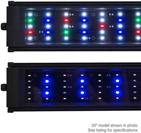 img 3 attached to 🐠 Enhance Your Freshwater Aquarium with BeamsWork DA FSPEC LED Light for a Vibrant and Healthy Environment