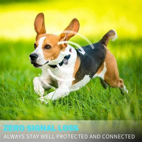 img 2 attached to 🐶 EUEHIE Airtag Dog Collar Case: Anti-Scratch Lightweight Holder for AirTag - Gray