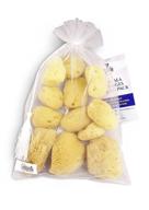 🧽 constantia beauty 12-pack natural sea silk sponges: size 1.5"-3" for cosmetic use, makeup application & removal, face & eye cleaning - includes luxury gift bag logo