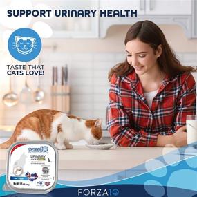 img 3 attached to Forza10 Urinary Health Salmon Flavor