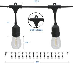 img 2 attached to PHILIPS Warm White Edison Lights