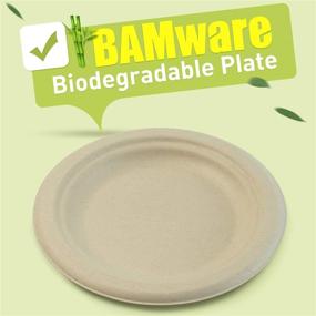 img 3 attached to 🌿 Green Earth 6-Inch Compostable Plates - 125-Count, Natural Bamboo Fibers, Microwave-Safe, Biodegradable Round Shape - Eco-Friendly, Gluten-Free, Everyday Tableware