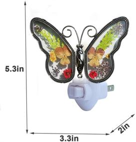 img 2 attached to 🦋 Stained Glass Butterfly Night Light with Metal Trim - Decorative Accent Lite for Nursery, Bedroom, or Bathroom Décor - Elegant Home Decoration and Guardian Gift in Color Boxes