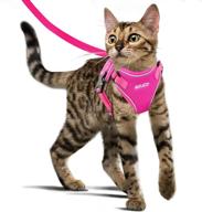 azuza harness reflective breathable blackroyal cats logo