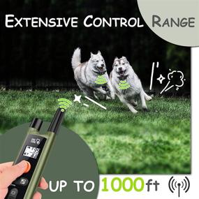 img 2 attached to 🐶 DOG CARE Rechargeable Dog Training Collar with Remote - 3 Training Modes, 1000Ft Range, 2 Receivers - Large Medium Small Dogs