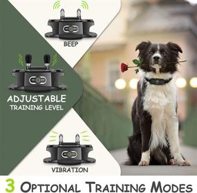 img 3 attached to 🐶 DOG CARE Rechargeable Dog Training Collar with Remote - 3 Training Modes, 1000Ft Range, 2 Receivers - Large Medium Small Dogs