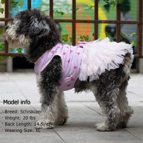 img 1 attached to KYEESE Dog Dresses with Bowtie: Stylish Mesh Dog Clothes for Spring and Summer