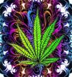 diamond painting cannabis marijuana narcotic logo