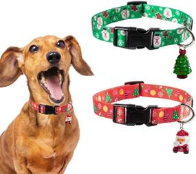 img 4 attached to SCENEREAL Christmas Dog Collar Packs