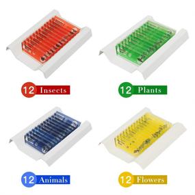 img 3 attached to 🔬 48 Pack Prepared Microscope Slides: Insect, Animal, and Plant Specimens for Biology Education and Kids' Science Projects