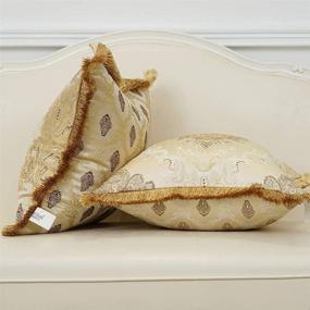 img 2 attached to 🌸 Avigers Luxury Decorative European Throw Pillow Cover - Soft Floral Embroidery, Tassels - Beige Gold - 18x18 Inch