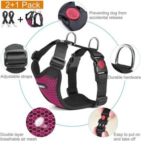 img 2 attached to 🐶 Haapaw Dog Seatbelt - 2 Pack Adjustable Stretchable Dog Seat Belts with Double Breathable Mesh Dog Car Harnesses