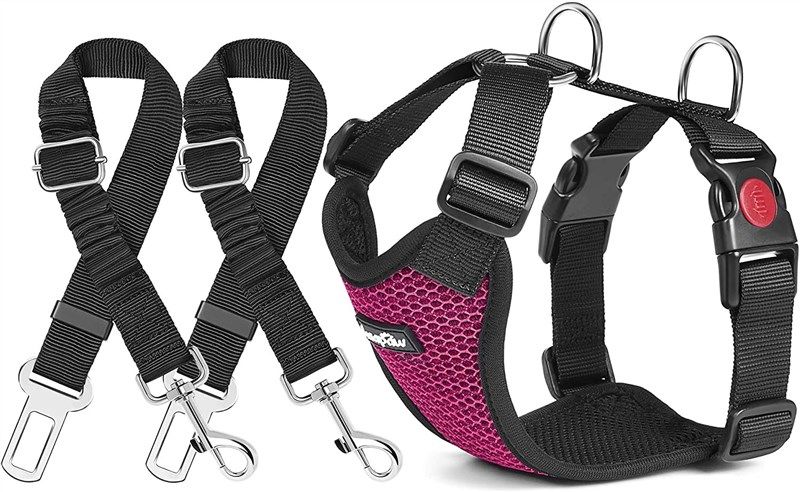 haapaw seatbelt adjustable stretchable breathable 로고