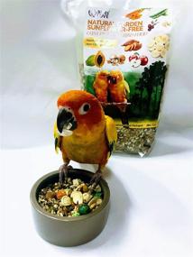 img 2 attached to 🐦 All Natural Garden Blend Bird Food for Conures - Sunflower Free 2lb: The Perfect Choice for Birds