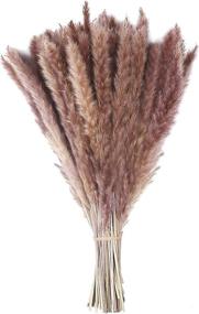 img 4 attached to 💐 100pcs Natural Dried Pampas Grass Flower Bunch – 17.7" Tall Wedding Décor, Phragmites Plants for Home, Living Room – Dried Flowers Decoration