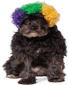 img 2 attached to Mardi Gras Afro Wig for Pets: Vibrant Rubies Costume for Your Furry Friend