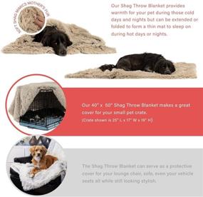 img 1 attached to 🐾 Soothing Comfort: Best Friends by Sheri Calming Shag Fur Frost Pet Throw Blanket 40x50