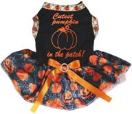 petitebella black pumpkin shirt with cobweb design and pumpkin tutu dog dress логотип