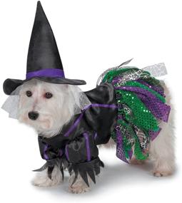 img 4 attached to 🎃 Spooktacular Zack & Zoey Scary Witch Costume for Dogs: Unleash the Halloween Fun!