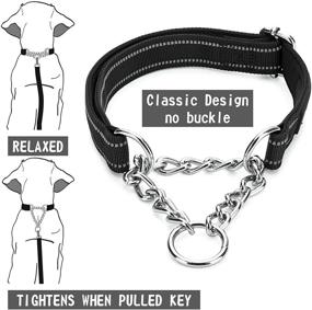 img 2 attached to 🔗 DEYACE Stainless Steel Chain Martingale Collar: Quick Release Buckle, Reflective Nylon, Comfortable Padding, ID-Tag Ring