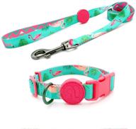 🐶 animal carnival collection: azuza dog collar and leash set for small medium large dogs - adjustable nylon collar with matching leash logo