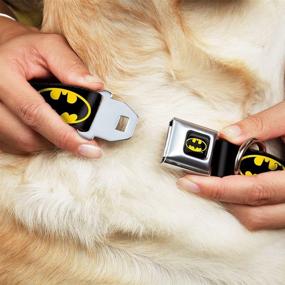 img 3 attached to 🦇 Buckle-Down Seatbelt Buckle Dog Collar - Premium Batman Shield Design in Black/Yellow