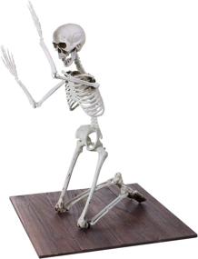 img 1 attached to 🎃 35-Inch Posable Halloween Skeleton - Full Body Plastic with Movable Joints, Ideal for Halloween Decorations and Party Favors